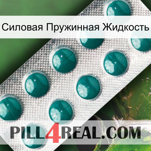 Силовая Пружинная Жидкость dapoxetine1.jpg